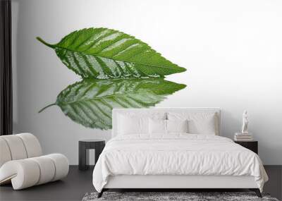 Close-up of two green leaves with detailed texture and reflection on a transparent background. Ideal for nature, botanical, and eco-friendly themes. Wall mural