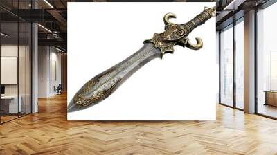 Detailed medieval sword with ornate hilt and blade, perfect for historical, fantasy, and medieval themes. Wall mural