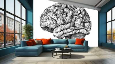 Intricate black and white drawing of a human brain showcasing detailed lines and patterns, illustrating creativity and intelligence. Wall mural