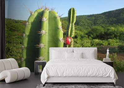 Mandacaru cactus, green natural background, and fruits Wall mural