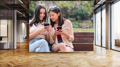 two young women smiling happy while looking their mobile phones, concept of youth and communication, copy space for text Wall mural