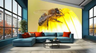 Abeja en flor Wall mural