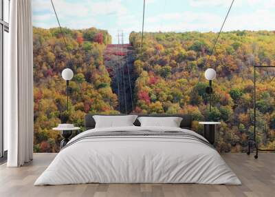 Pennsylvania power lines in the forest in autumn Wall mural