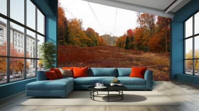 Pennsylvania power lines in the forest in autumn Wall mural