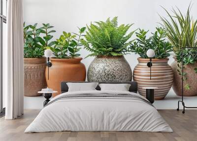 A row of ornamental foliage plants in terracotta pots on a white background Wall mural