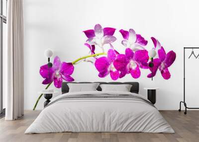 Purple orchid flower isolated Wall mural