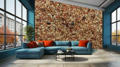 Horse gram  Beans used in Indian cooking .pulses background texture Wall mural