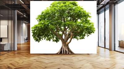 Banyan or bodhi tree, big ficus religiosa isolated on white transparent background, PNG Wall mural