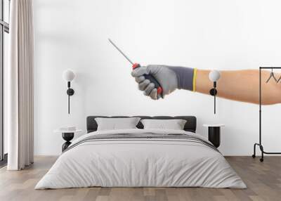 Hand holding a manual screwdriver on white background Wall mural