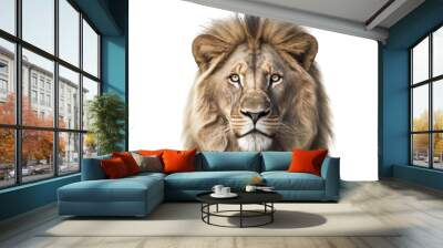 Lion isolated on white, transparent background, PNG, generative ai Wall mural