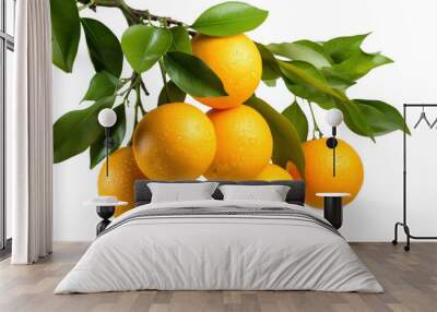 Orange fruits and green leaves isolated on white transparent background, citrus orange tree branch, PNG, Wall mural