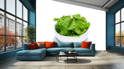 Fresh coriander leaves Wall mural