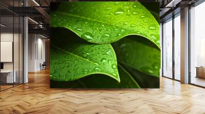 Green leaf Wall mural