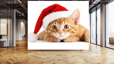 Close-Up of a Playful Red Tabby Cat in a Santa Hat, isolated on white background Wall mural