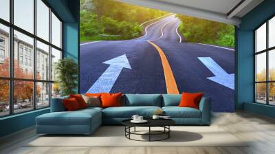 Countryside road and yellow line with white arrow with trees on both sides, Curve of the road, two way road Wall mural