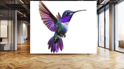 A flying purple hummingbird photography high ornithology. Wall mural