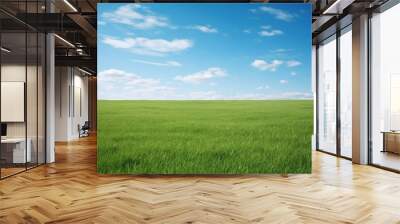 A grassy field with clear blue sky backgrounds outdoors horizon. Wall mural