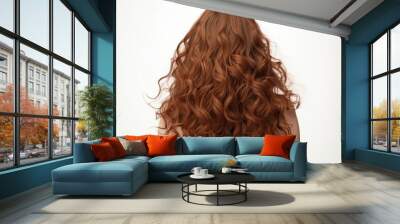 adult brown woman hair. Wall mural