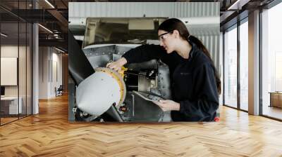 Aircraft maintenance mechanic inspecting Wall mural