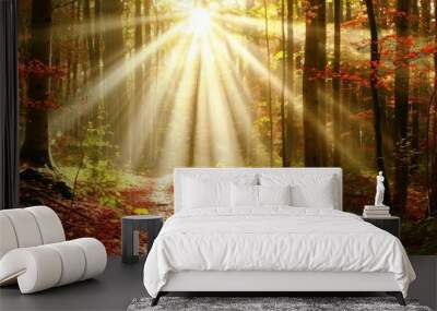 Autumn landscape nature autumn sunlight. Wall mural