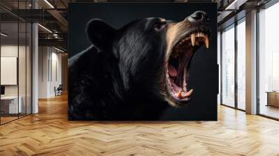 Bear yawning mammal animal. Wall mural