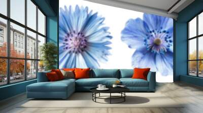 blue flower png cut out element set Wall mural