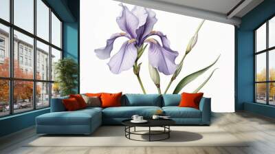 Botanical illustration iris flower blossom petal. Wall mural