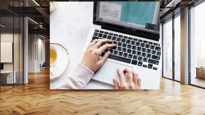 Businesswoman working on laptop Wall mural