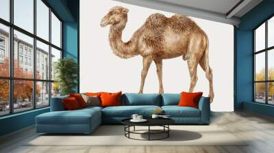 Camel in vintage style Wall mural