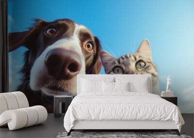 Cat and dog animal mammal nose. Wall mural