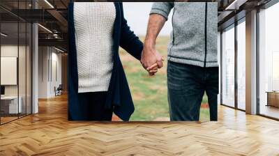 Close up of senior couple holding hands Wall mural