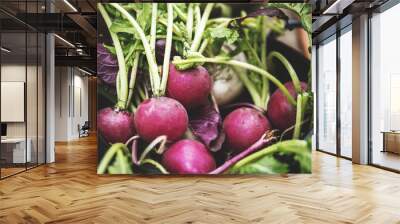 Closeup of fresh organic radishes Wall mural