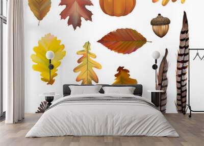 Collection of autumn leaves vector Wall mural