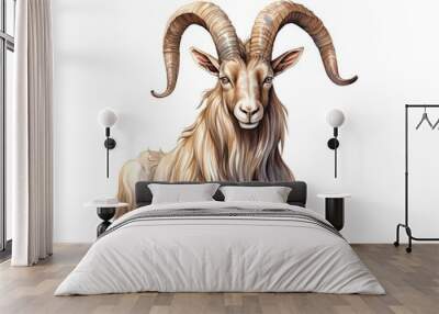 Drawing Illustration of a ram isolated on white background Wall mural