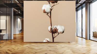 Dried fluffy cotton flower branch on a beige background Wall mural