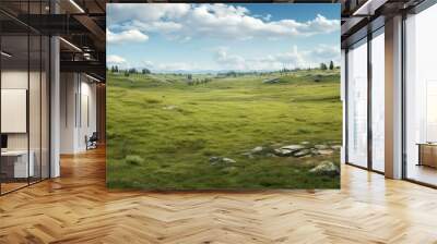 Empty grass field landscape grassland outdoors. Wall mural