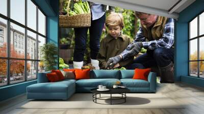 Family picking vegetable from backyard garden Wall mural