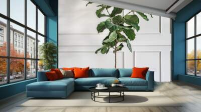 Fiddle leaf fig tree Wall mural