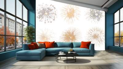 Firework png element set, transparent background Wall mural