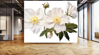 Flower hibiscus blossom petal. Wall mural