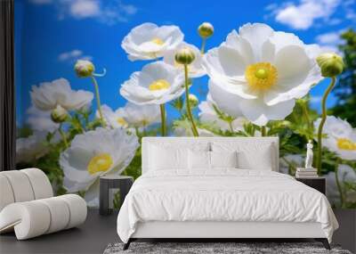 Flower nature summer outdoors. Wall mural