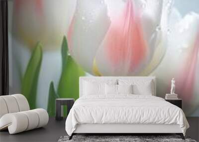 Flower tulip blossom plant. Wall mural