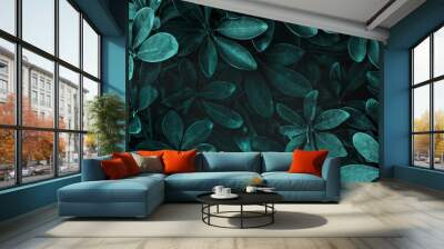 Fresh natural green Schefflera Arboricola background Wall mural