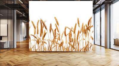 Golden wheat field against sky Wall mural