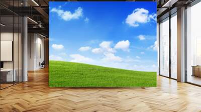 Green Field and blue sky Wall mural