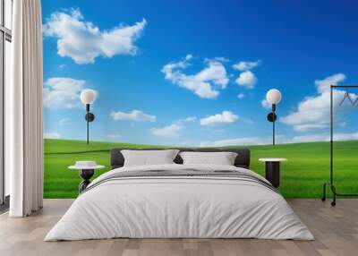 Green field with blue sky grassland landscape outdoors. Wall mural