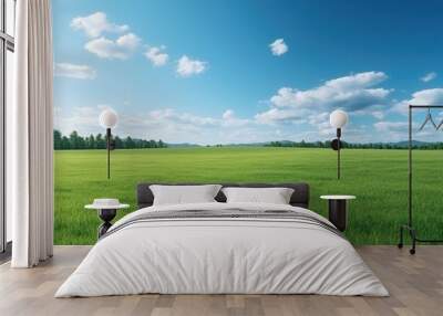 Green grassy park field outdoors landscape horizon. Wall mural