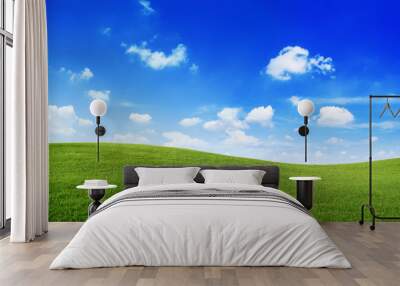 green hills with blue sky Wall mural