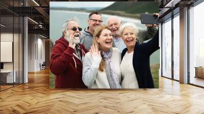 Group of happy seniors taking a selfie Wall mural