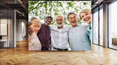 Group of Senior Retirement Discussion Meet up Concept Wall mural